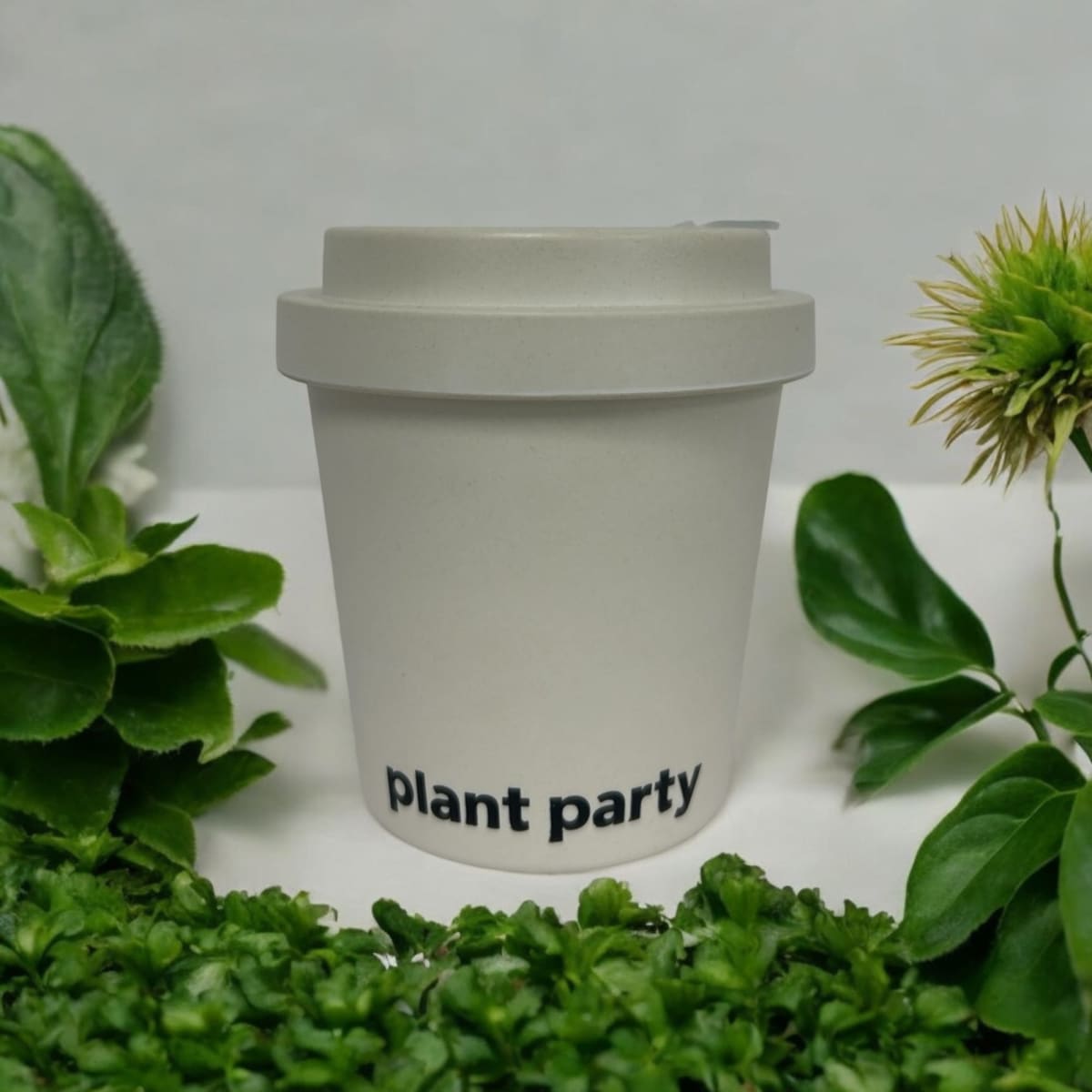 300ml Bamboo Coffee Cups (Hard Lid)