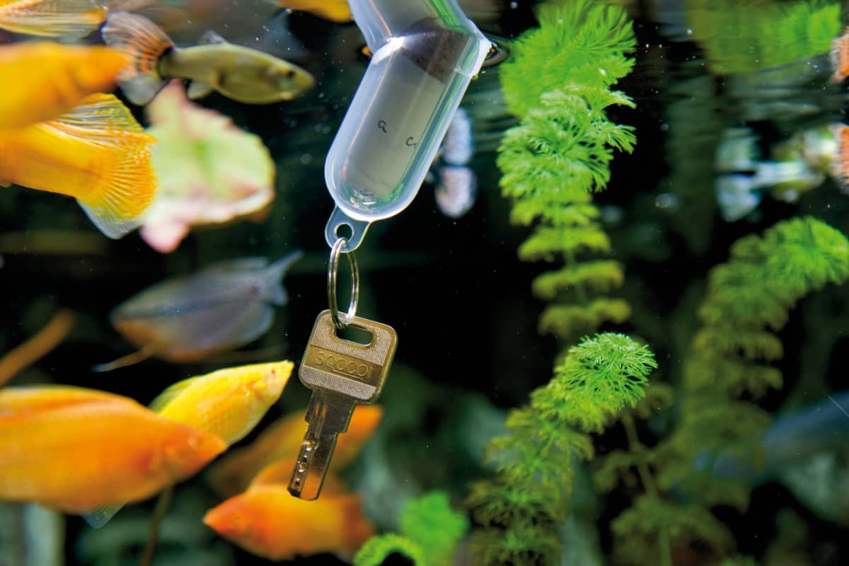 keyring  Message in a bottle floating