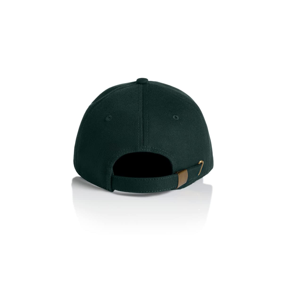 Access Canvas Cap