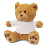 Teddy Bear Plush Toy