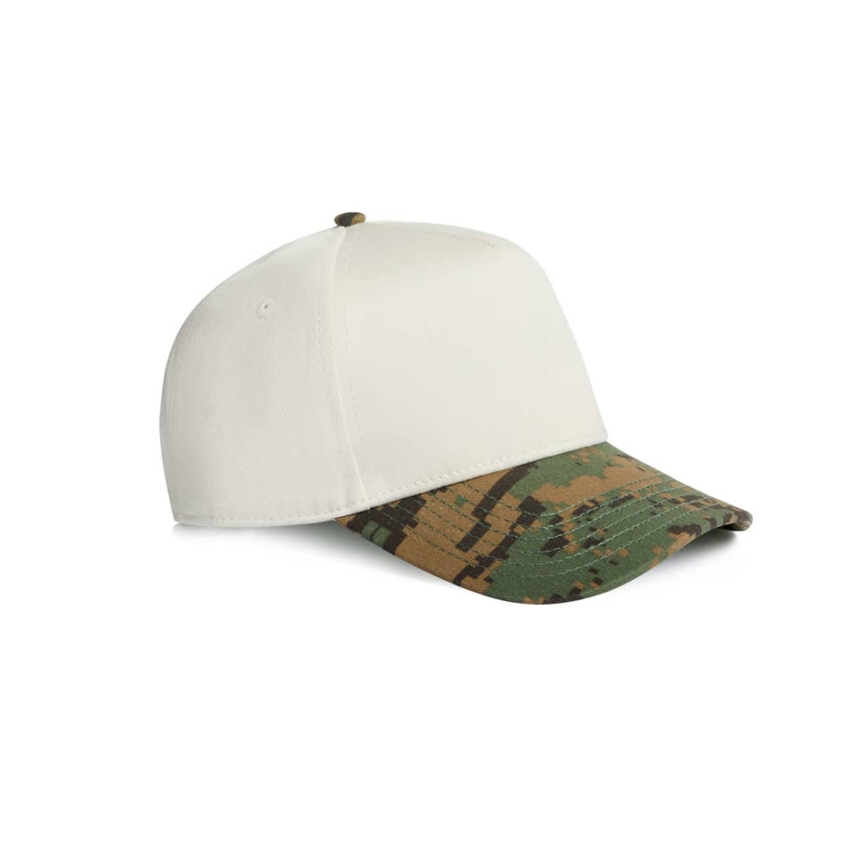 Frame Two-Tone Camo Cap