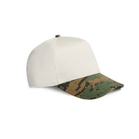 Frame Two-Tone Camo Cap