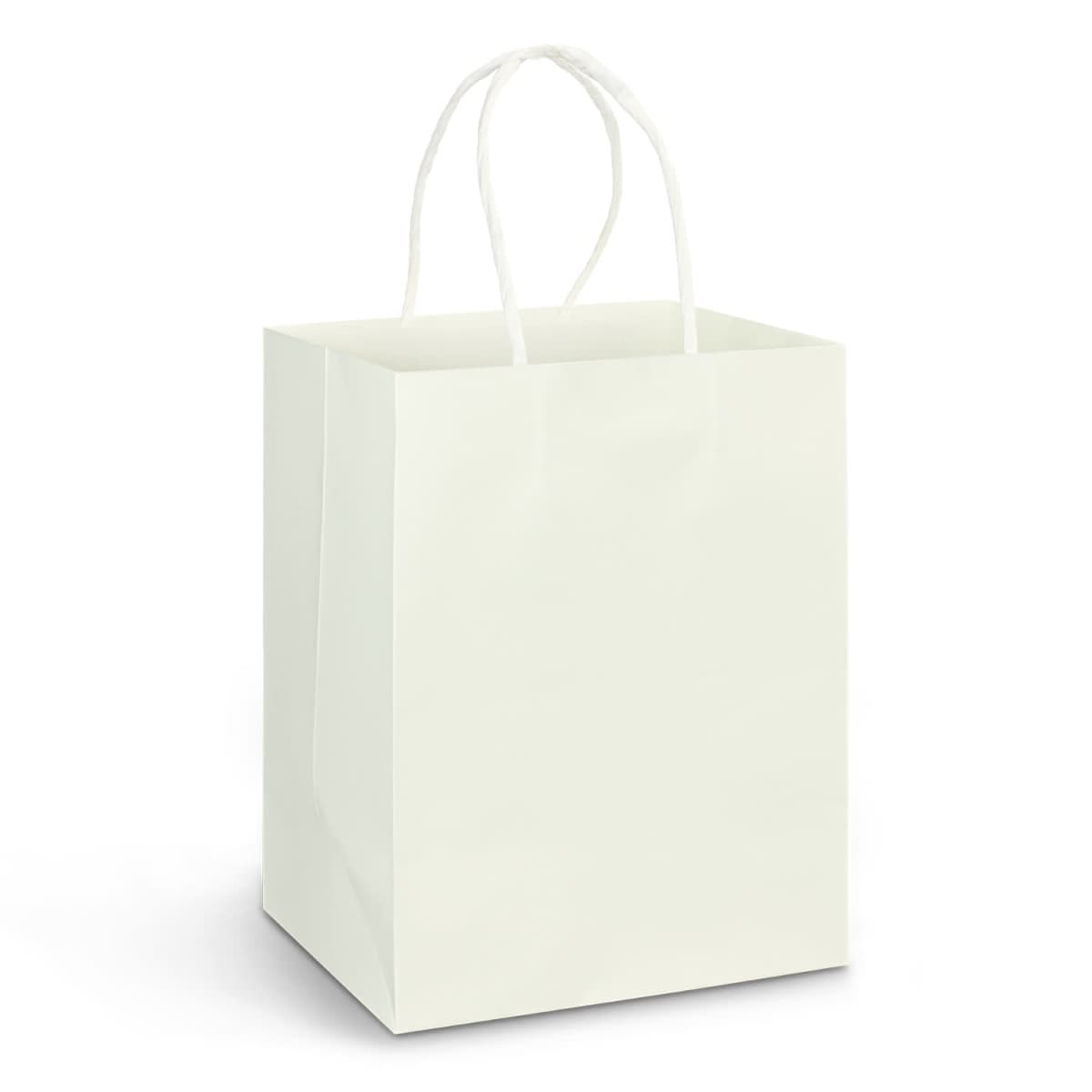 Large Paper Carry Bag - Full Colour