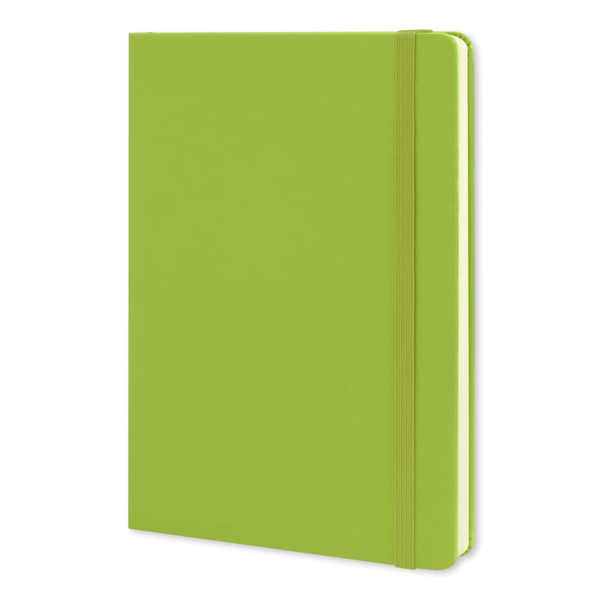 Moleskine Classic Hard Cover Notebook - Large