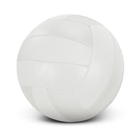 Volleyball Pro