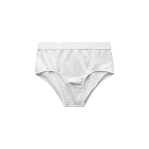 Briefs