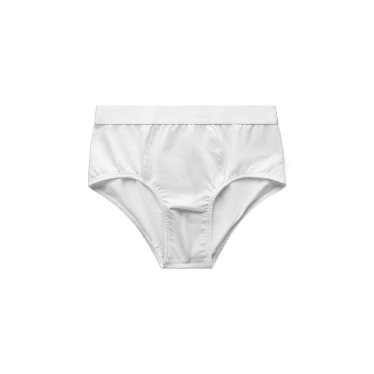 Briefs