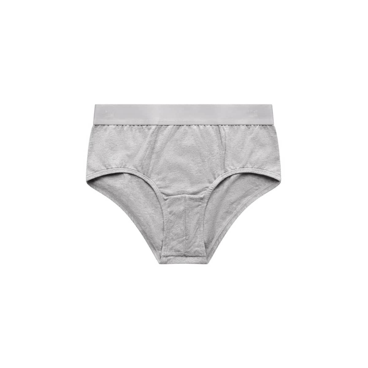 Briefs