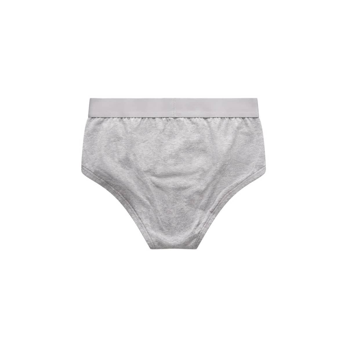 Briefs