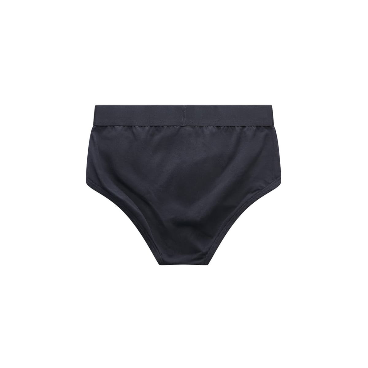 Briefs