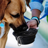 Silicone Collapsible Pet Bowl