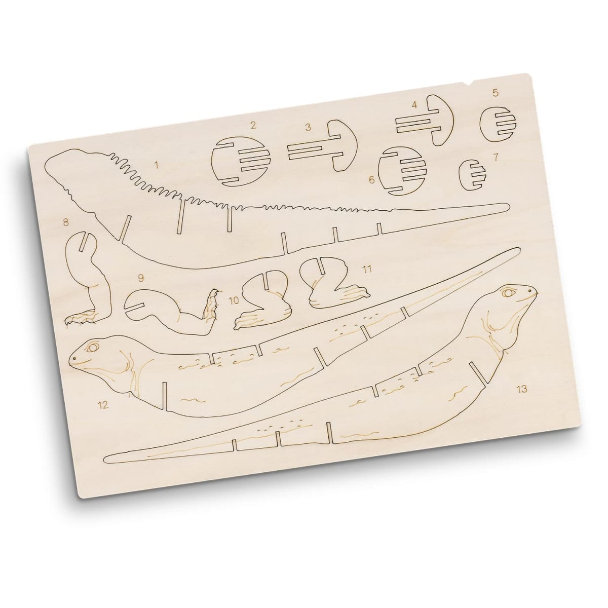 BRANDCRAFT Tuatara Wooden Model