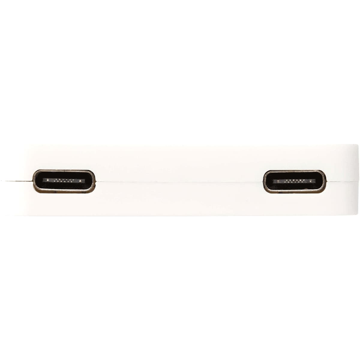 Gaia 4-Port USB Hub w/  USB-A & Type-C Output & Dual Input