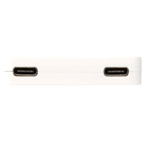 Gaia 4-Port USB Hub w/  USB-A & Type-C Output & Dual Input