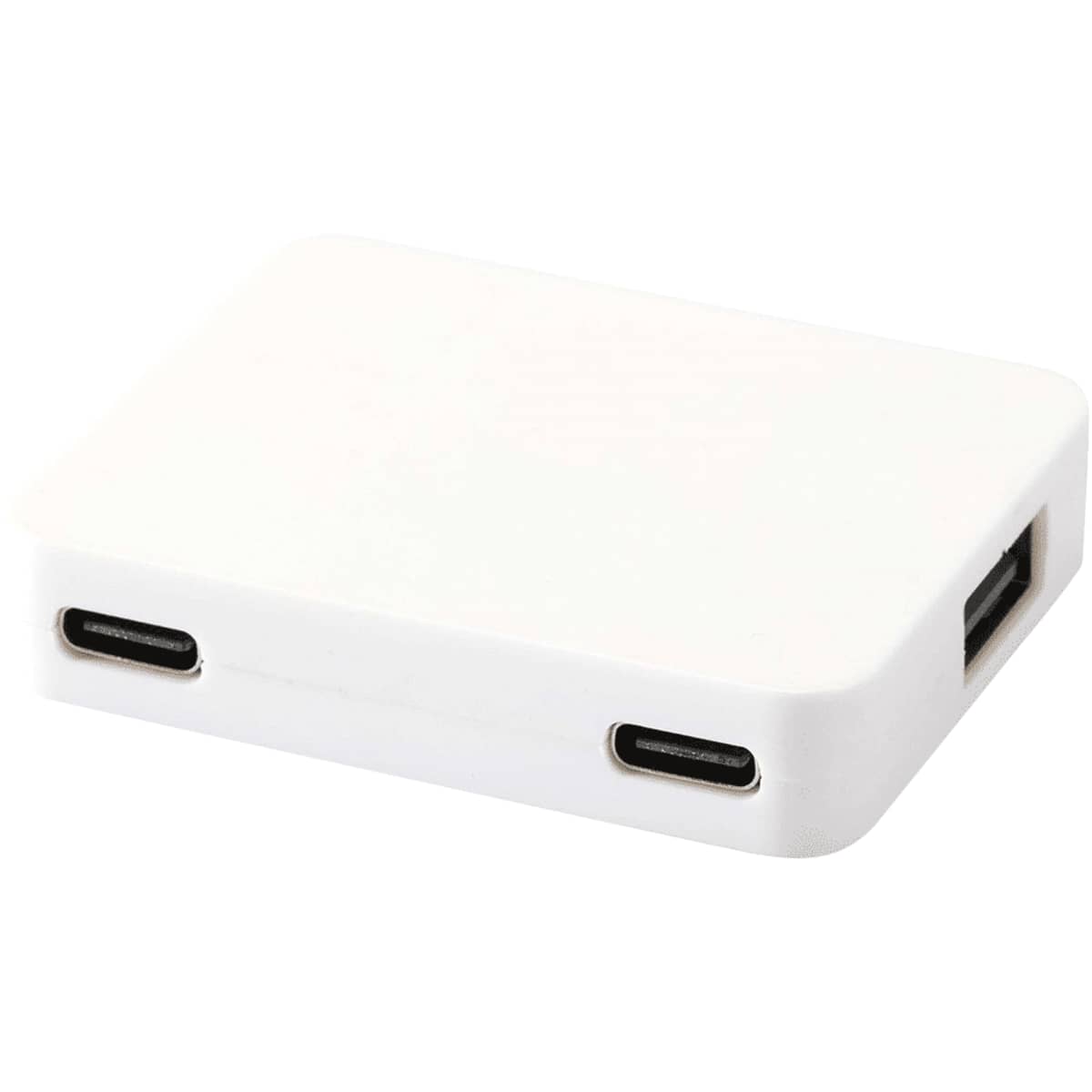Gaia 4-Port USB Hub w/  USB-A & Type-C Output & Dual Input