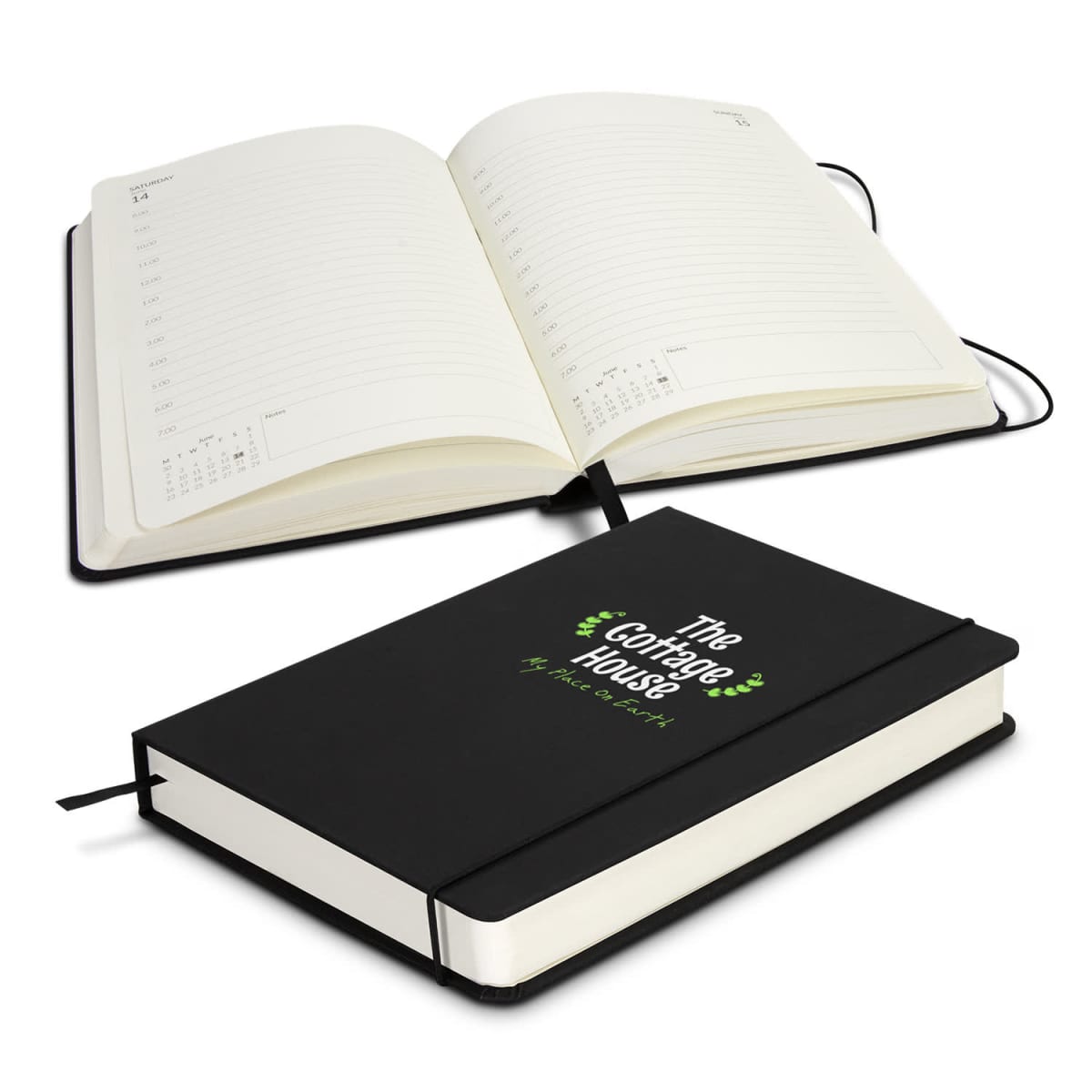 Daily Diary - 2026