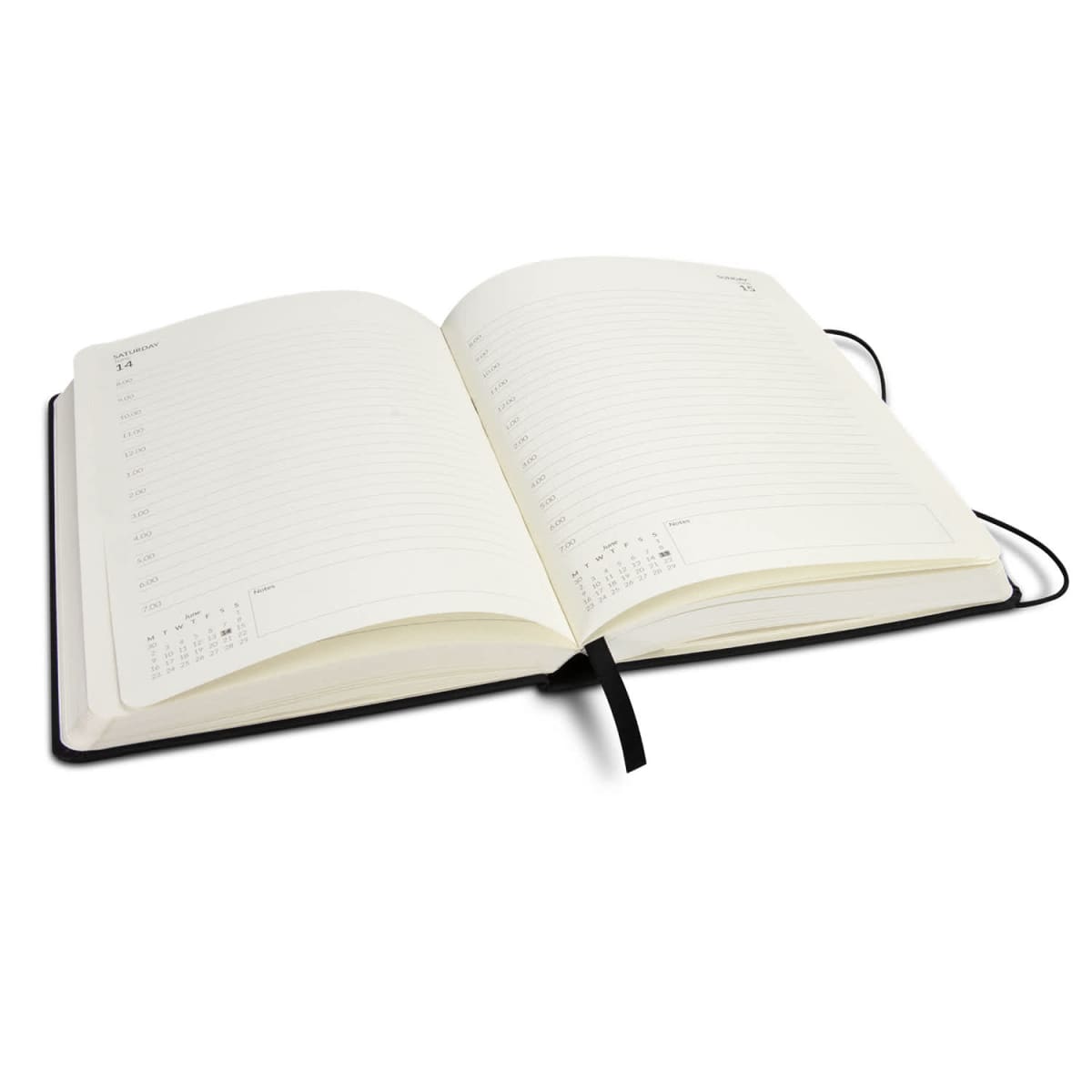 Daily Diary - 2026
