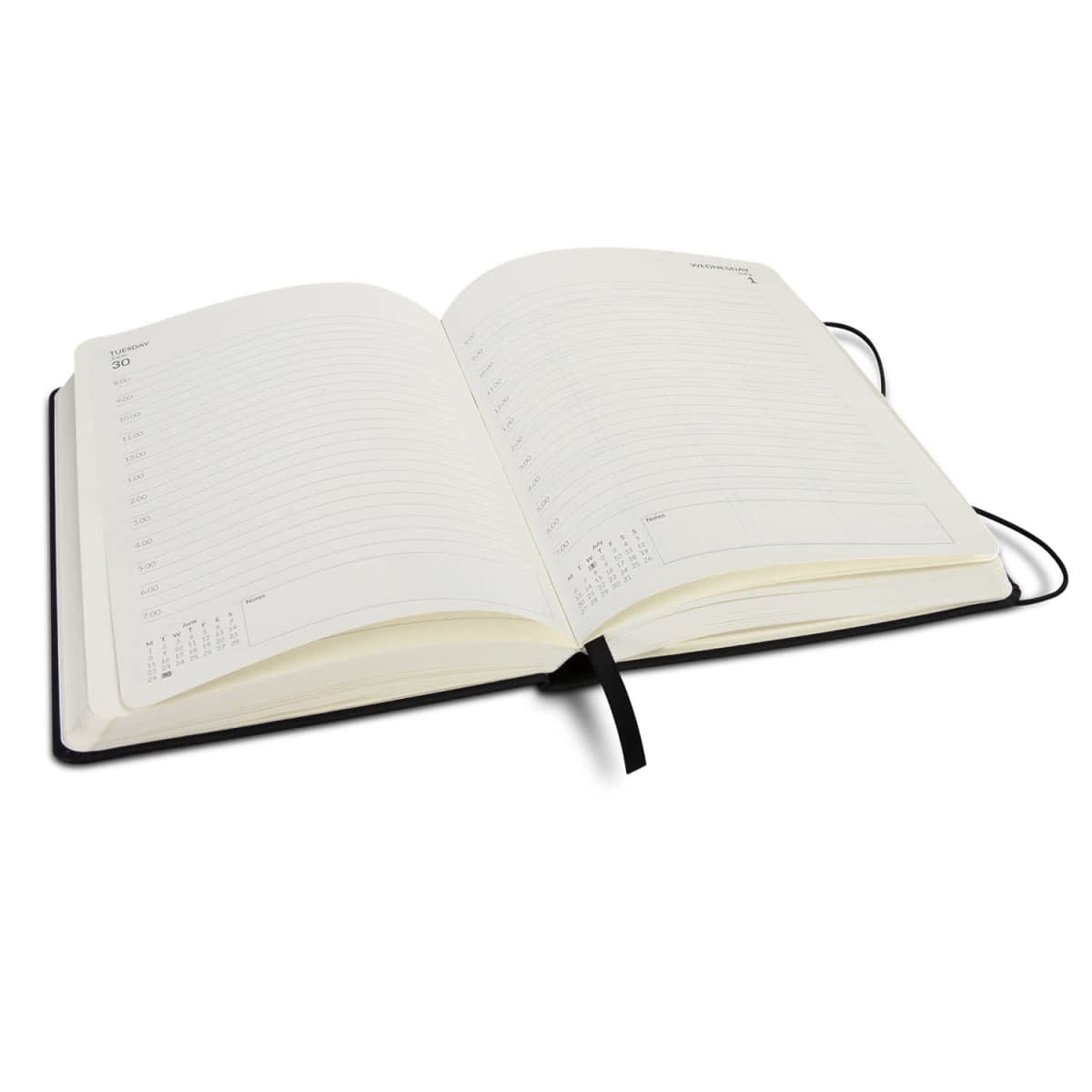 Daily Diary - 2026
