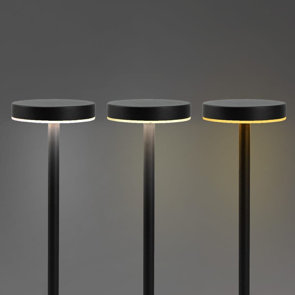Nouveau Rechargeable Table Lamp