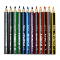 STAEDTLER Colouring Pencil Set of 12