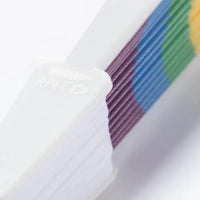 Rainbow Fan