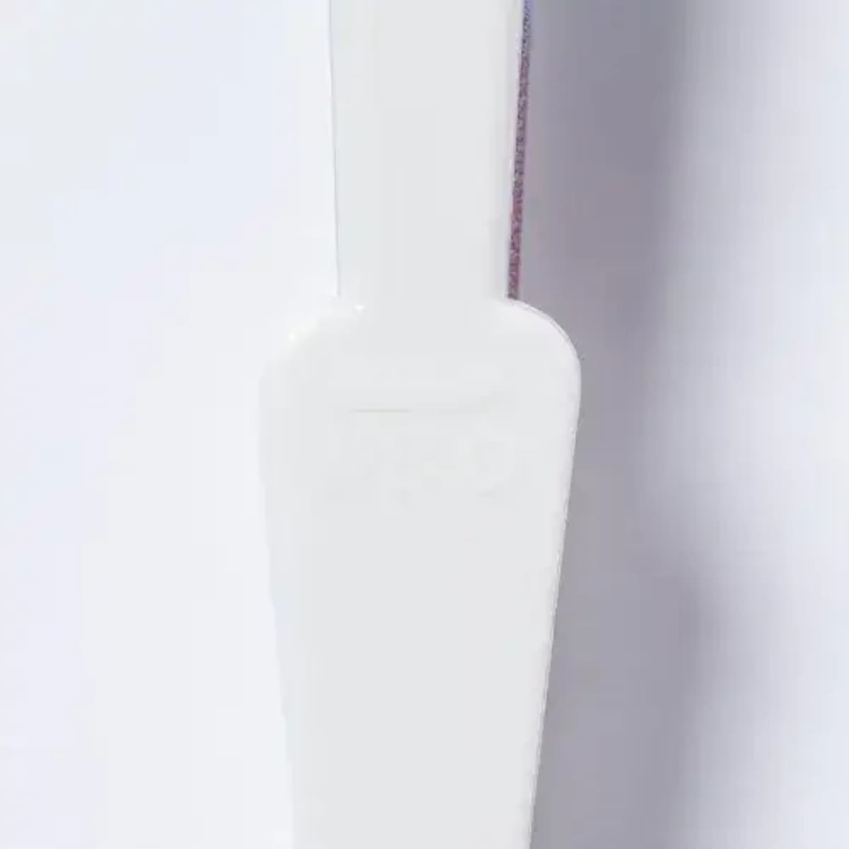 Rainbow Fan