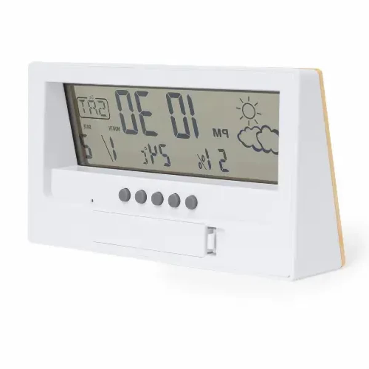 Weather Station - Roamer