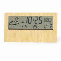 Weather Station - Roamer