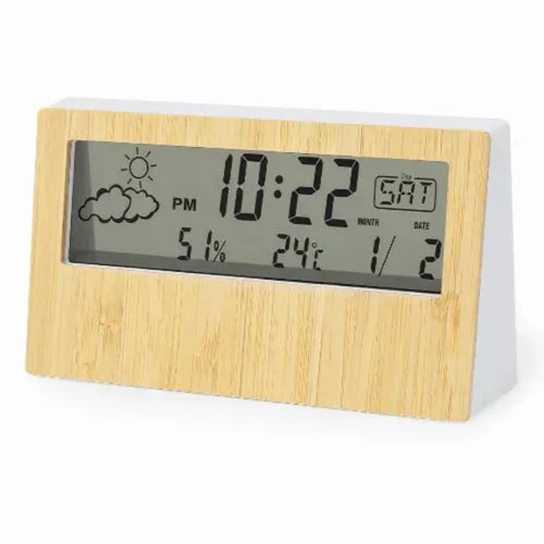 Weather Station - Roamer