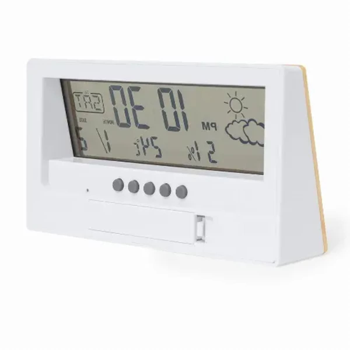 Weather Station - Roamer