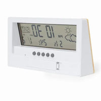 Weather Station - Roamer