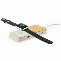 Charger Barichen
