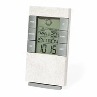 Weather Station - Maginly