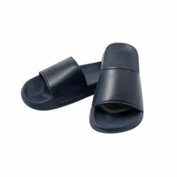 Slides - Kanger