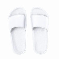 Slides - Kanger