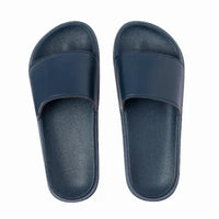 Slides - Kanger