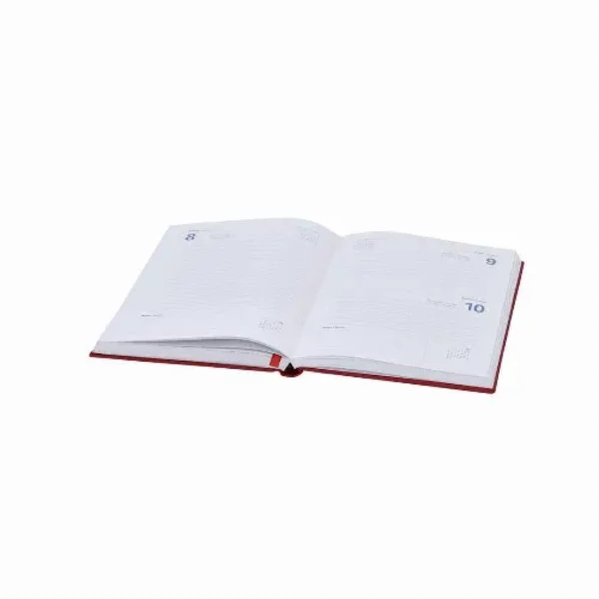 Diary - Canek