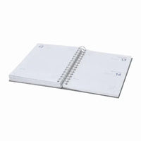 Diary - Sinclex