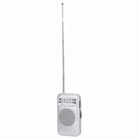Vintage Radio - Mester