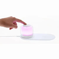 Phone charger & Lamp - Reginal