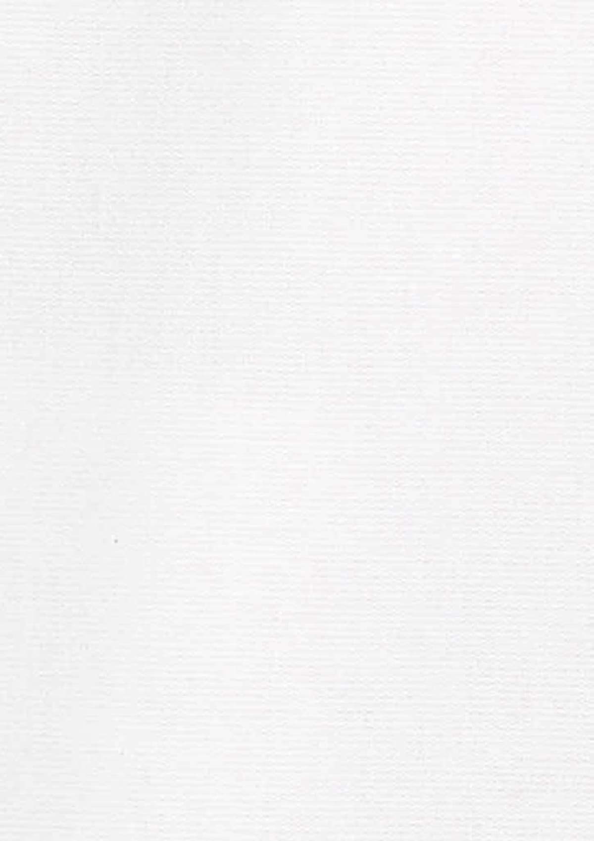 Mens Hudson Long Sleeve Shirt