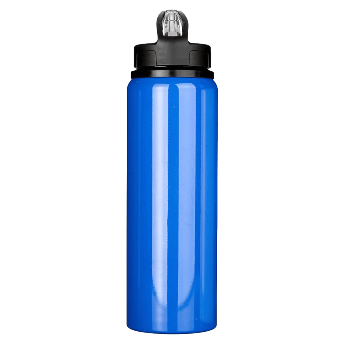 Fitz Recycled Stainless Steel Drink Bottle 800ml