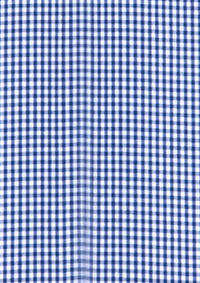 Mens Newport Long Sleeve Shirt