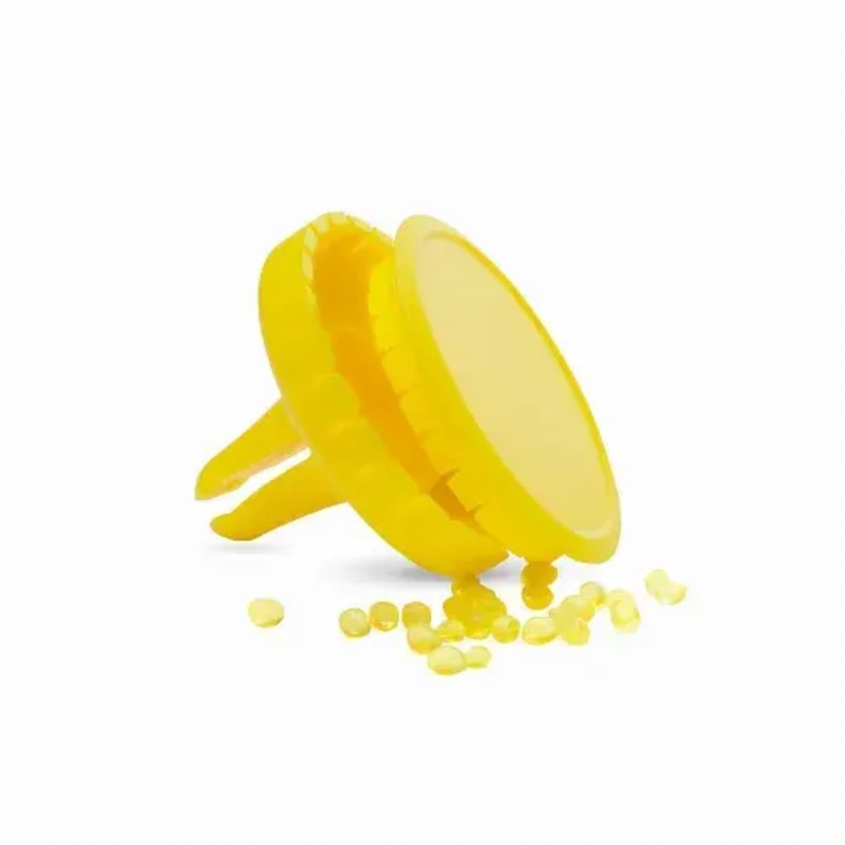 Scrib