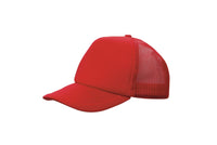 Truckers Mesh Cap