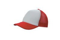 Truckers Mesh Cap