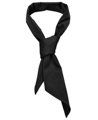 JB's Chefs Scarf