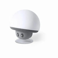 Speaker - Wanap