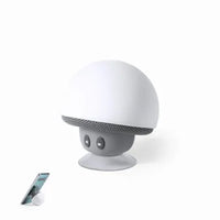Speaker - Wanap