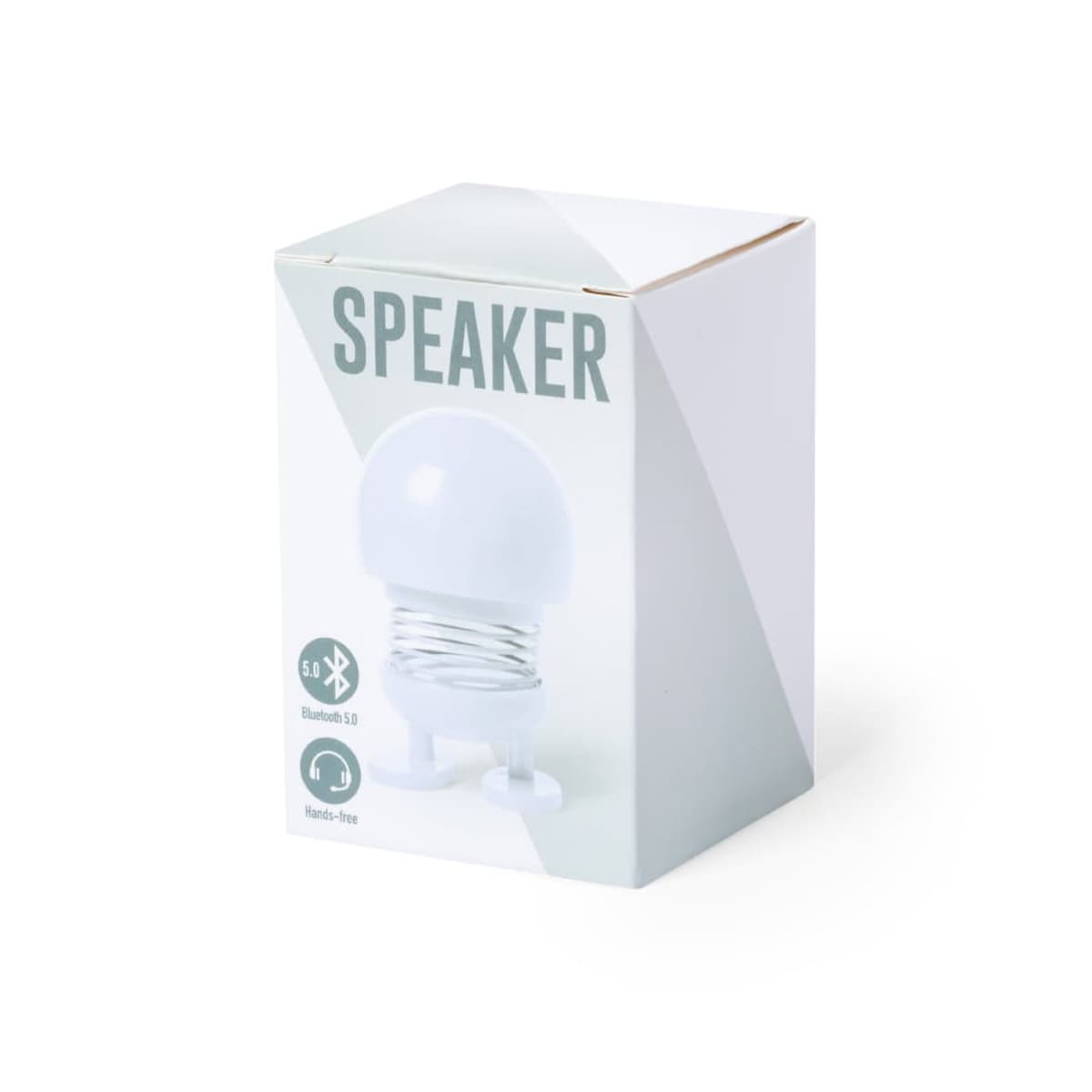 Speaker Laryn